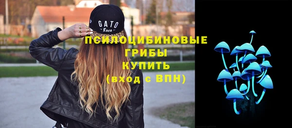 а пвп мука Медногорск