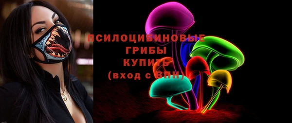 spice Мегион