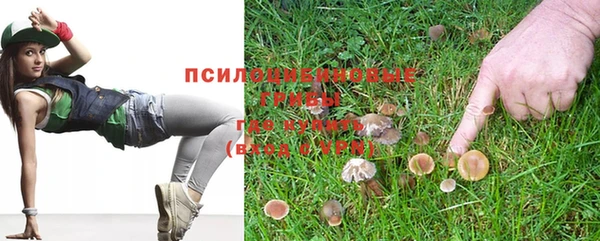 spice Мегион