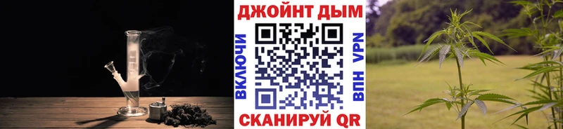 Бошки марихуана сатива  даркнет сайт  Котельнич 